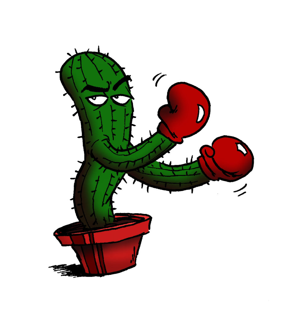 Online billige Paintball Kugeln kaufen - bei uns geht das ohne Reue - mit den Cactus Fun Paintballs
