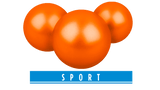Umarex T4E Sport PAB - Kaliber 43 Paintballs - 500 Stück - biologisch abbaubar